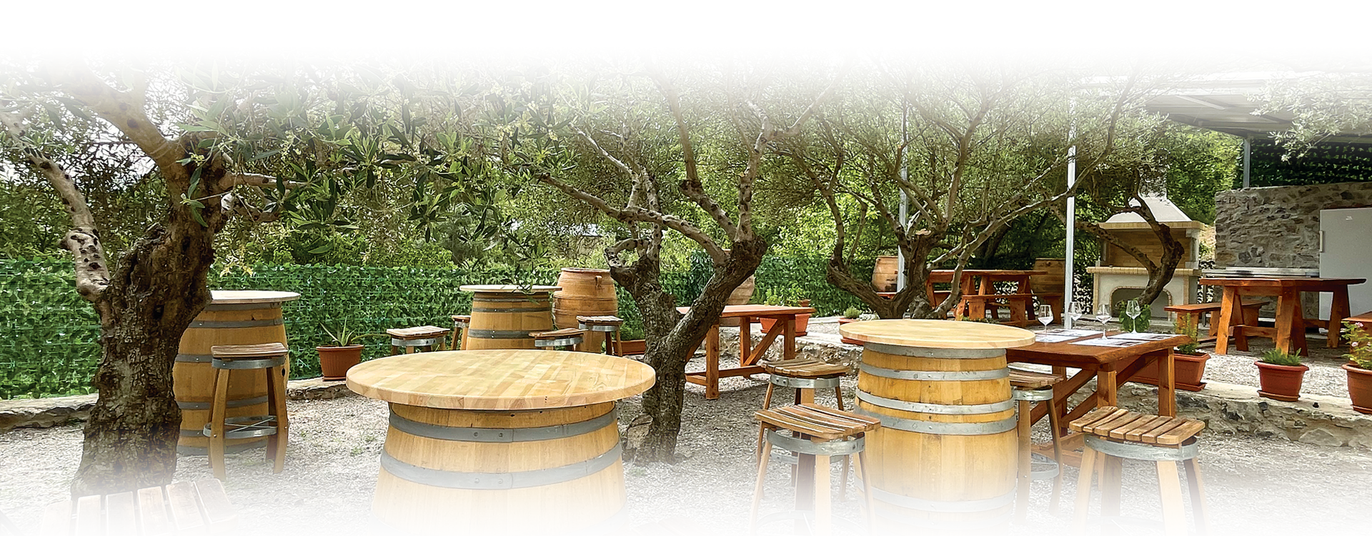 Wine Tasting